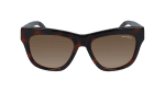 Dark Havana Tortoise
