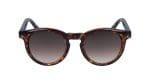 Dark Havana Tortoise