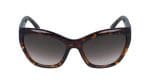 Dark Havana Tortoise
