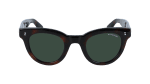 Dark Havana Tortoise